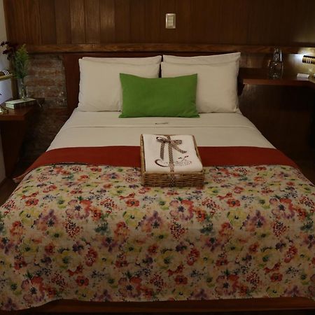 Chalet Del Carmen, Coyoacan Mexico-stad Buitenkant foto