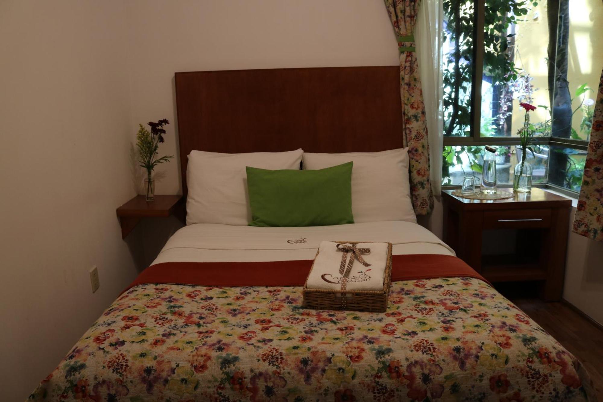 Chalet Del Carmen, Coyoacan Mexico-stad Buitenkant foto