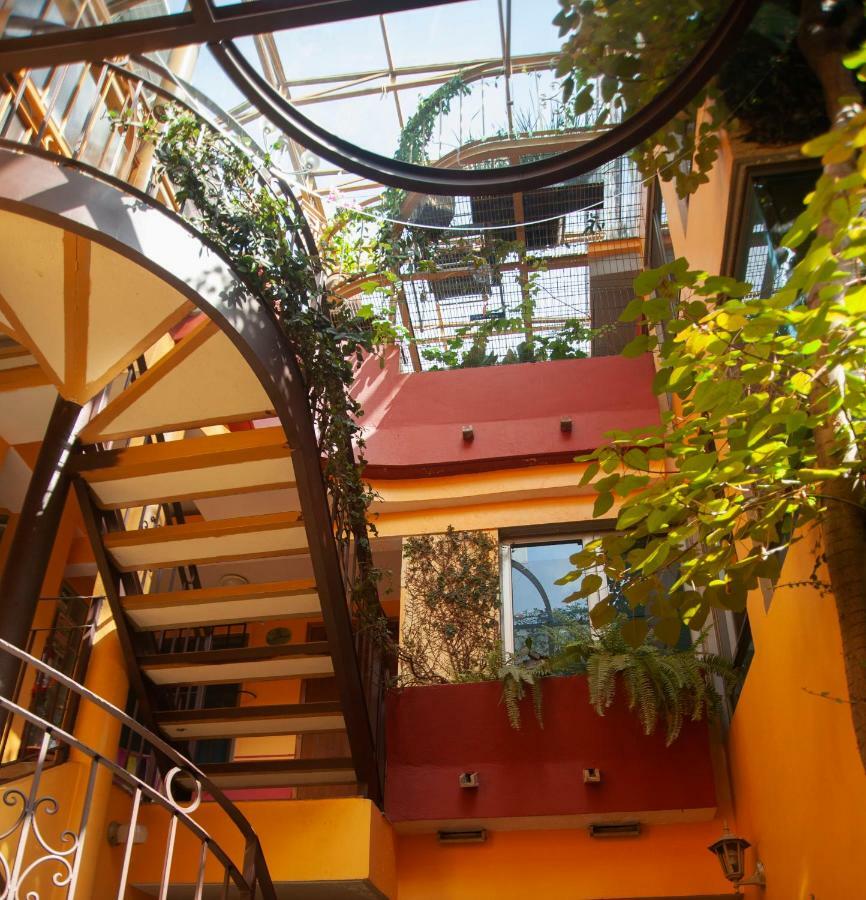 Chalet Del Carmen, Coyoacan Mexico-stad Buitenkant foto